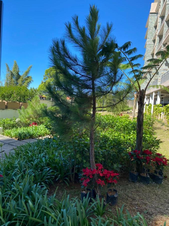 Near Johnhay Minesview Fast Wi-Fi Netflix Balcony Leilighet Baguio City Eksteriør bilde